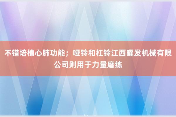 不错培植心肺功能;哑铃和杠铃江西曜发机械有限公司则用于力量磨练