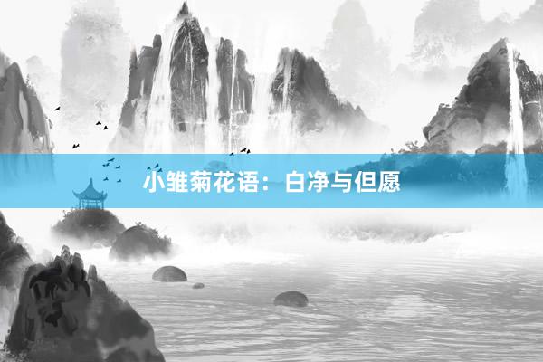 小雏菊花语：白净与但愿