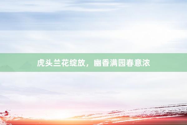 虎头兰花绽放,幽香满园春意浓