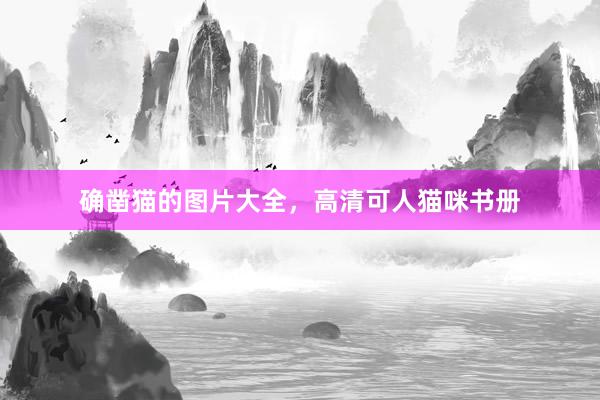 确凿猫的图片大全，高清可人猫咪书册